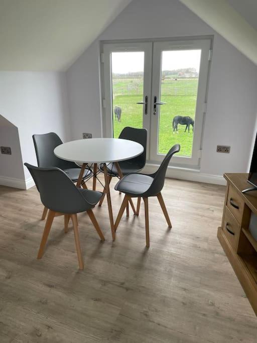 Appaloosa Suite With Amazing Views Of Stud Farm. Driffield Extérieur photo