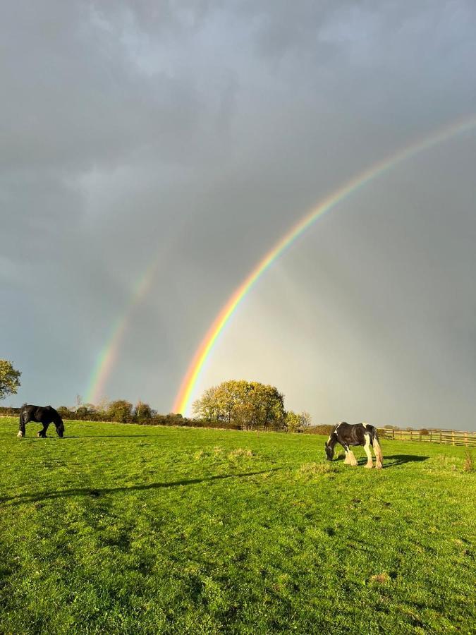 Appaloosa Suite With Amazing Views Of Stud Farm. Driffield Extérieur photo